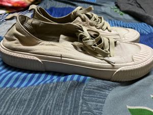 Canvas Shoes In Good Condition