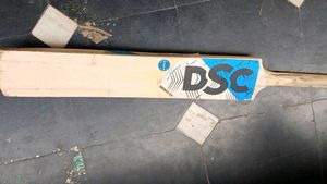 DSC English Willow Cricket Bat