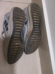 Campus Casual Shoes