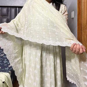 Elegant pista color Chikankari Gown XL size