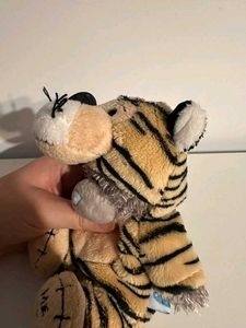Teddy Bear in Tiger Costume
