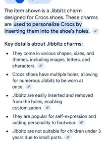 Jubbitz Charm