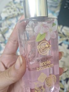 Body Cupid Apple Blossom Bod