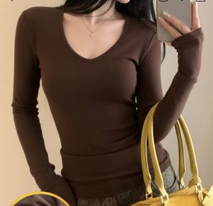 Brown V-Neck Long Sleeve Top