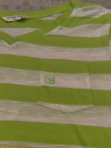 Woodland Striped V-Neck T-Shirt