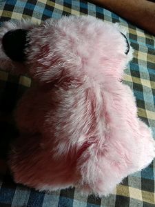 Baby Pink Teddy Dog