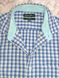 Blue &amp; White Checked Shirt