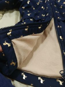 Winter Jacket