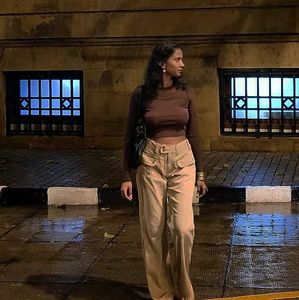 Brown Mesh Long Sleeve Crop Top