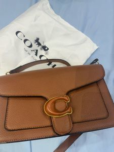 Coach  Handbag dupe