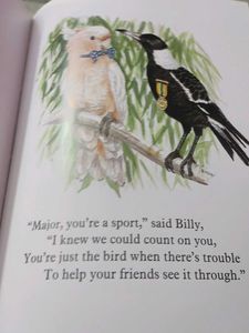 Teddy's Night Lost In The Bush Book-hard cover