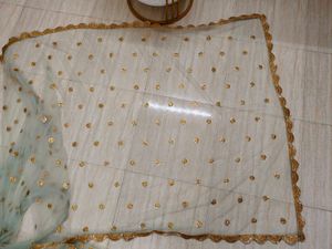 Sea Green Net embellished Saree