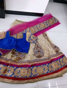 Elegant Embroidered Lehenga Choli Set