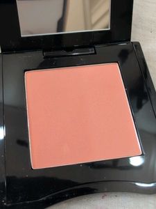 Shiseido Compact Case