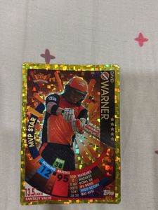 David Warner Gold MVP Star