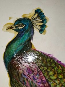 Vibrant Peacock Feather Artwork