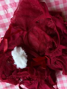 Sexy Red Lace Teddy Lingerie Set