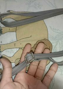 Ruchi Crossbody Bag