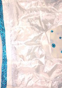 Elegant Embellished Saree