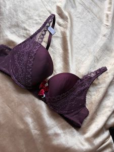 Elegant Lace Padded Bra