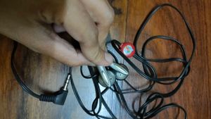 Wired Earphones