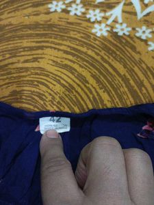 Blue printed Kurta