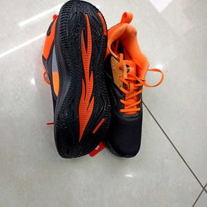 Campus Stylish Sport Shoes
