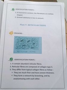 🔴❌Last minute Histology Notes ❌🔴