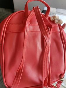 Combo Of 2 bagpacks