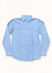 Classic Blue Striped Button-Down Shirt