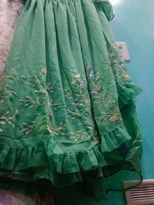Stunning Green Embroidered Ethnic Gown