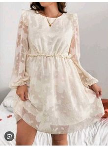 Cream Lace Dress With Empire Sleeves