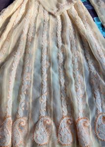 Elegant Chikankari Kurta