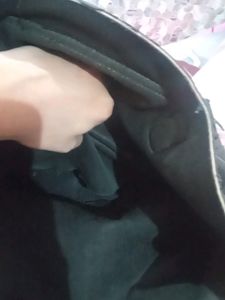 Satya Paul Bag