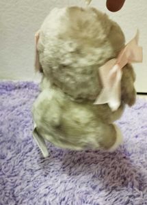 Cute Dog Plush Toy with "Te Quiero" Heart