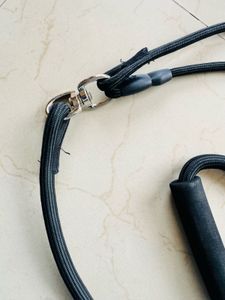 FINAL SALE🎉 Dual Leash