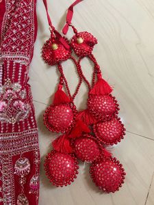 Stunning Red Embroidered Lehenga Choli