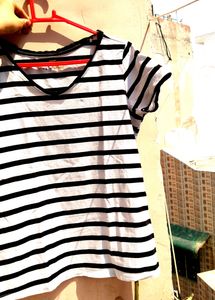 Zibra Pattern Top