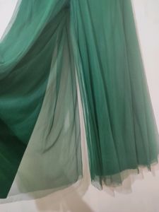 Fancy Green Skirt Palazzo 🌿
