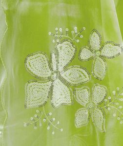 Lime Green Embroidered Saree not used