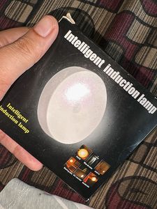 Intelligent Induction Lamp