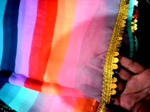 New Beautiful Georgette Saare