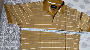 COLORPLUS Men Striped Tailored Fit Polo T-shirt