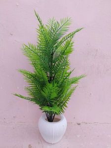 Artificial Plant for Home Decor