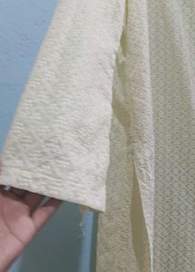 Elegant Chikankari Kurta