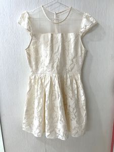Elegant Lace Overlay Mini Dress