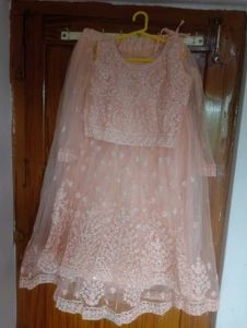 Elegant Peach Embroidered Lehenga Choli