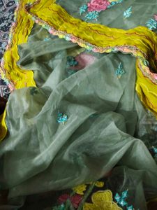 Embroidered Organza Dupatta with Rich Border