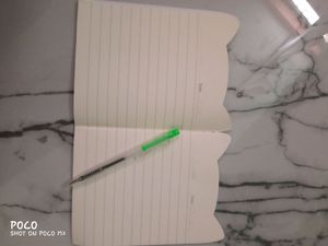 cute cat diary with little pen