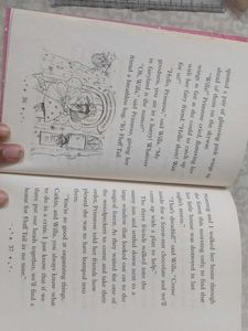 Fashion Fairy Princess Primrose Book